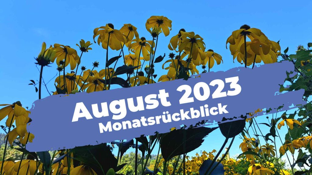 Gelbe Blumen vor blauem Himmel mit Schriftzug August 2023 - Monatsrückblick