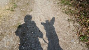 Schatten von Susanne und einem Esel auf einem Kiesweg