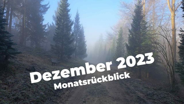Titel: Dezember 2023 Monatsrückblick. Hintergrundbild: Douglasienallee im Winternebel