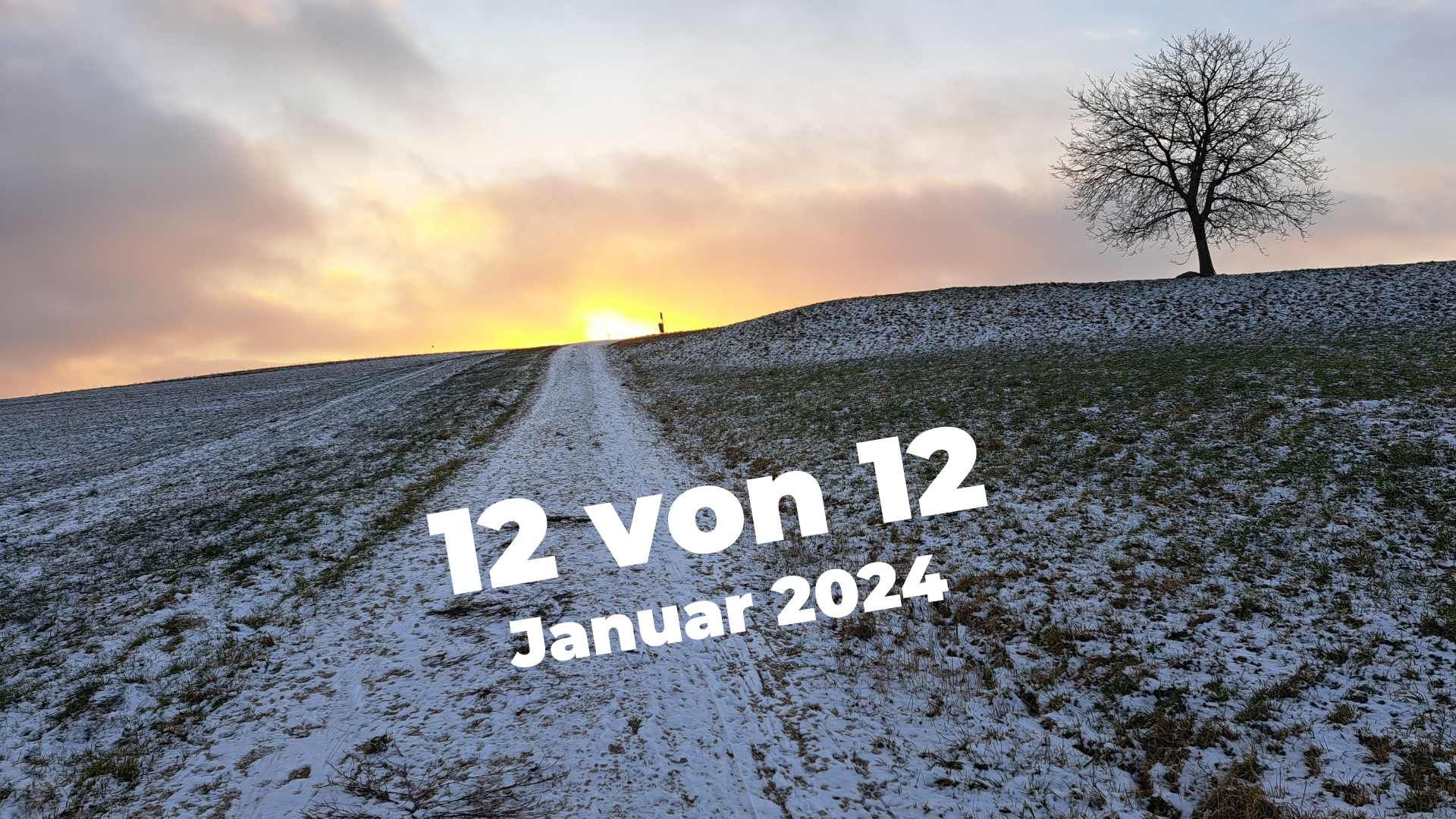 12 von 12 im Januar 2024: Homeoffice in meinem Lieblingshaus