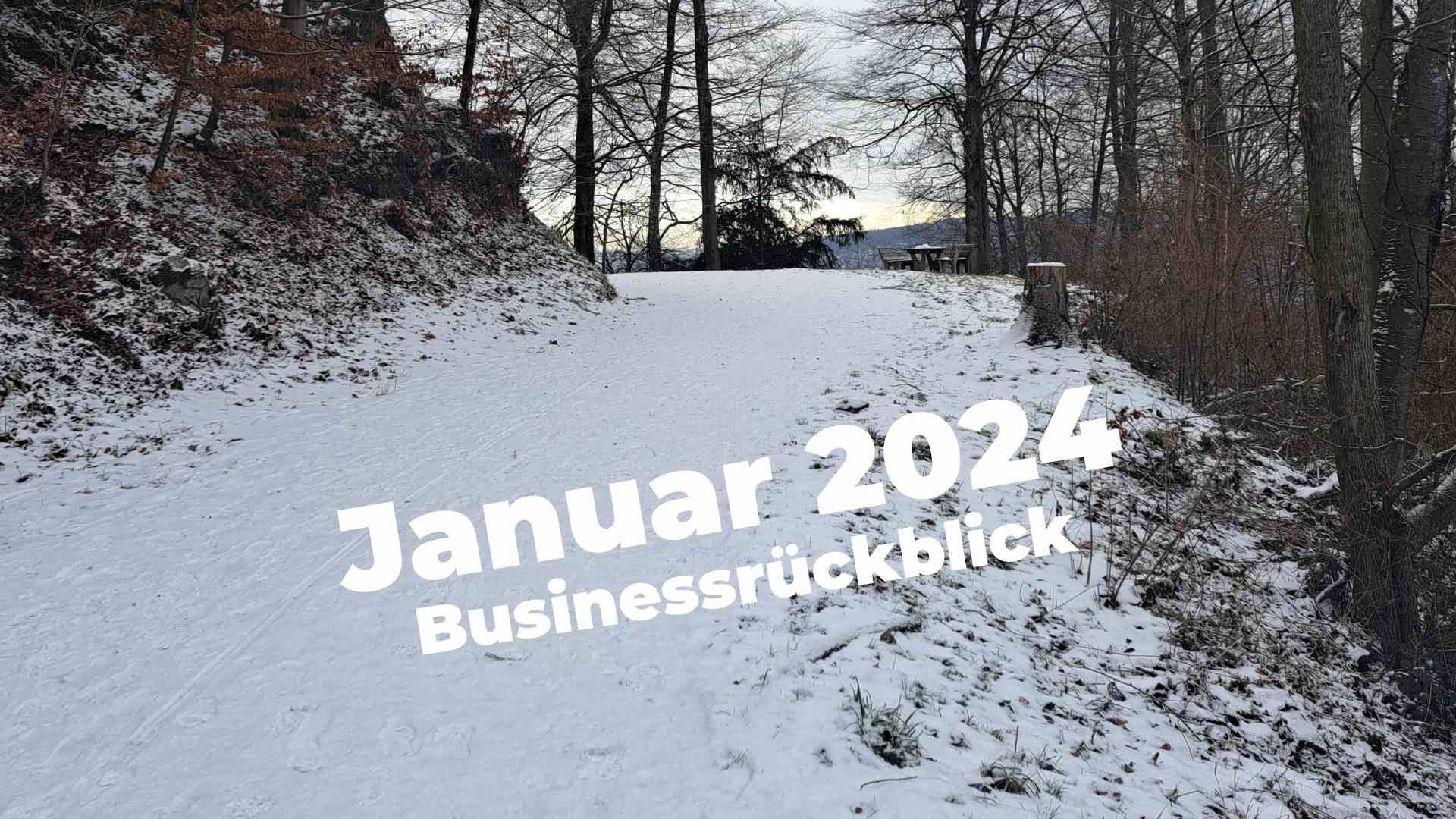 Verschneiter Waldweg: Januar 2024 Businessrückblick