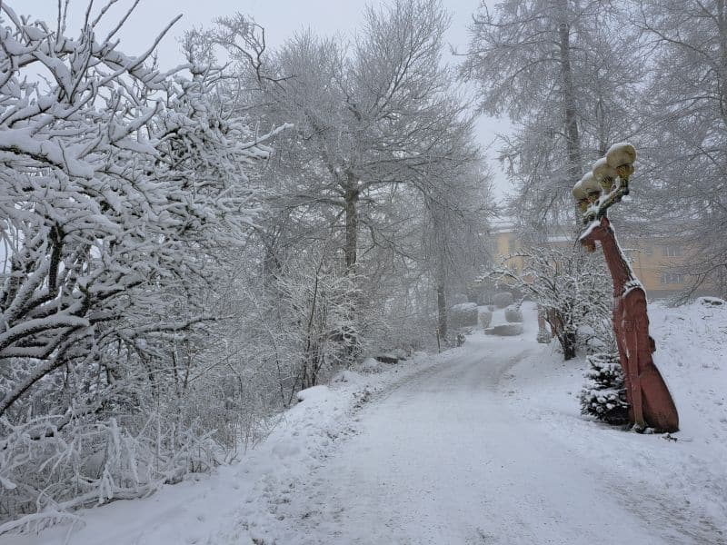Atemtherapie | Mikropausen | Supervision •