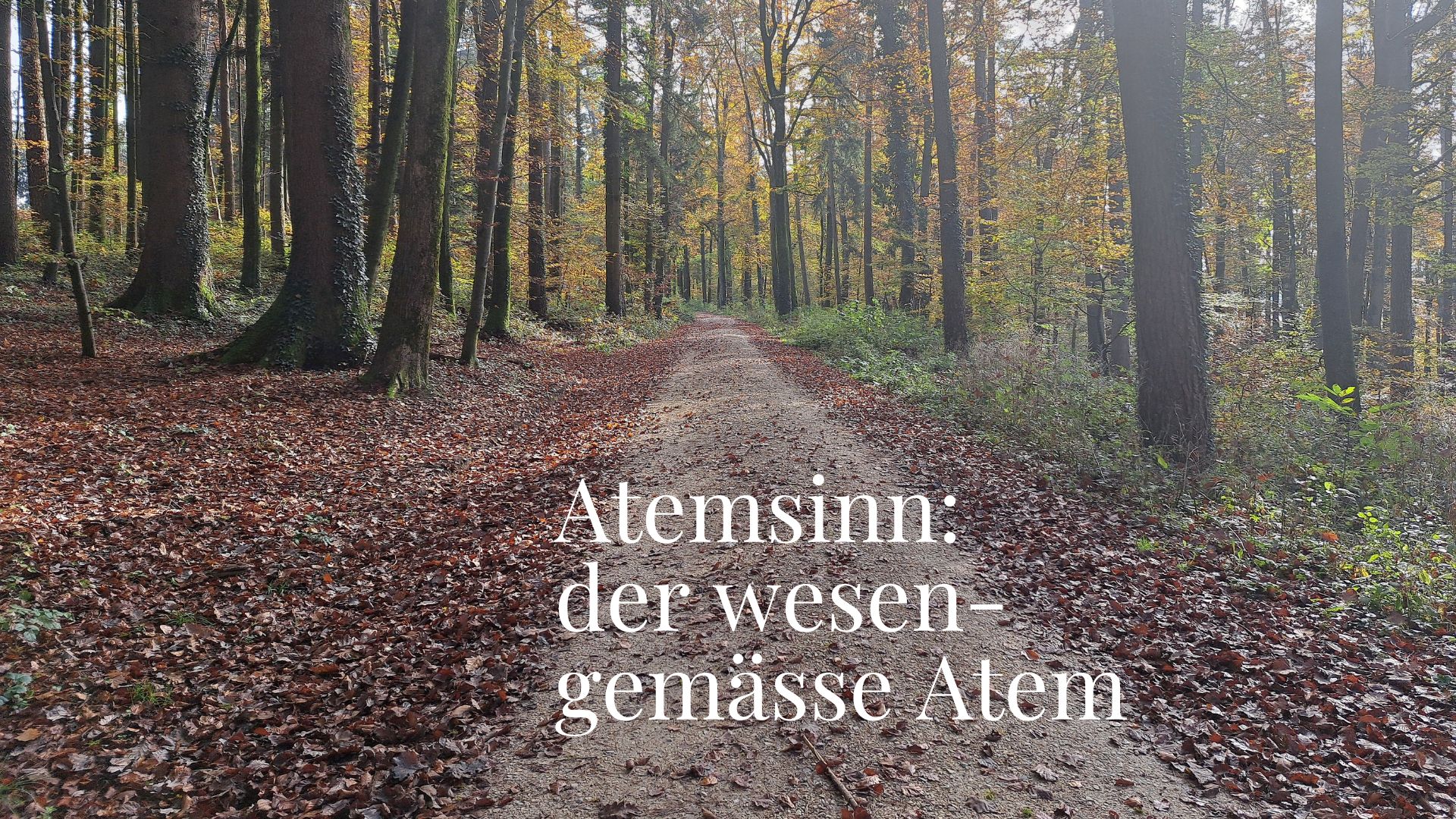 Egal wie das Leben spielt, hier ist deine ultimative Jokerkarte: Der wesengemässe Atem 🃏 dein Atemsinn