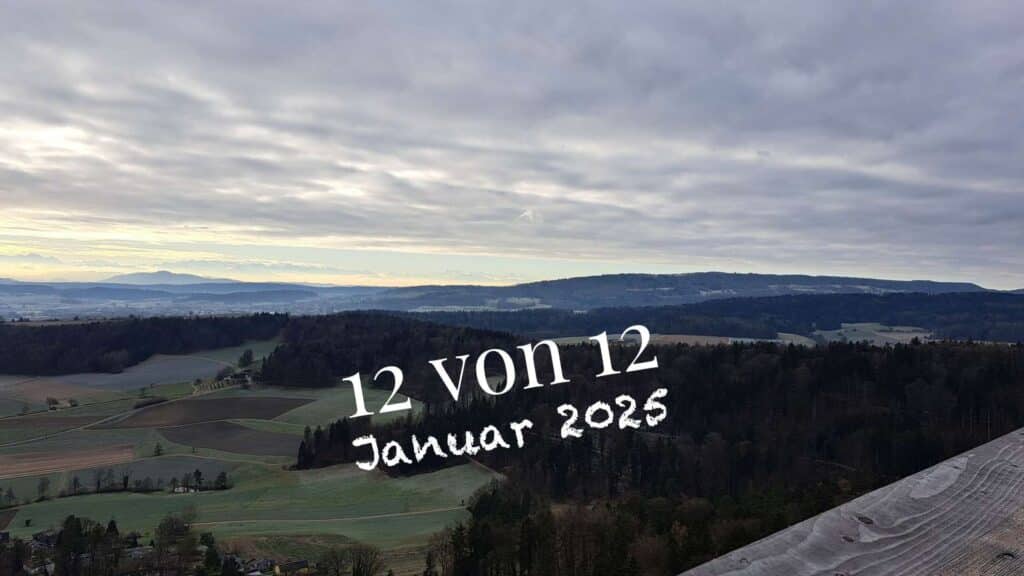 12 von 12 Januar 2025, Aussicht vom Stadlerturm Richtung Lägern und Uetliberg