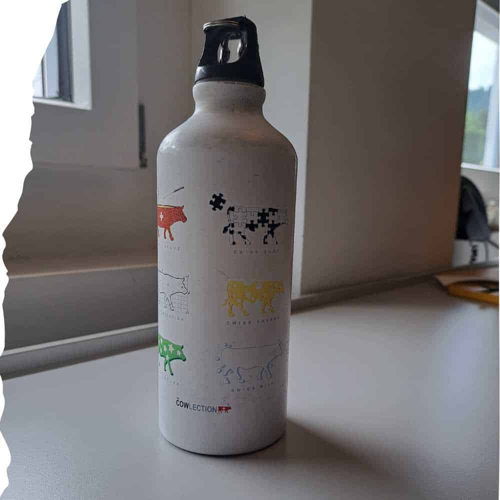 Sigg Trinkflasche mit Kühen