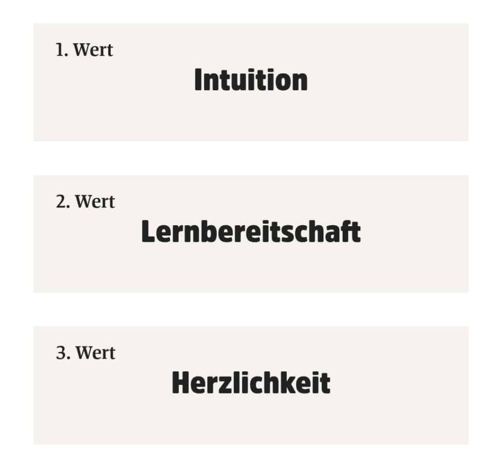 Testresultat von Ein Guter Plan: 1. Intuition; 2. Lernbereitschaft; 3. Herzlichkeit