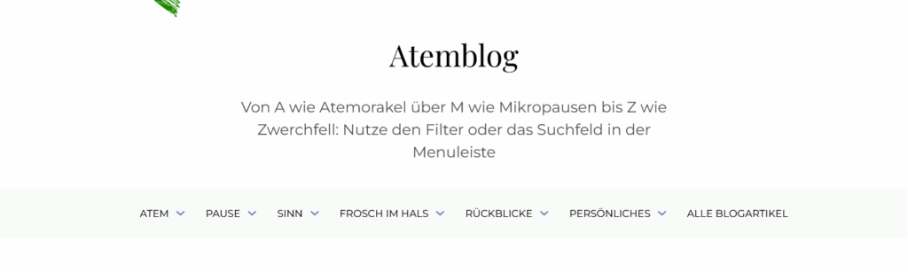 Screenshot der Blog-Startseite mit Kategorie-Filter
