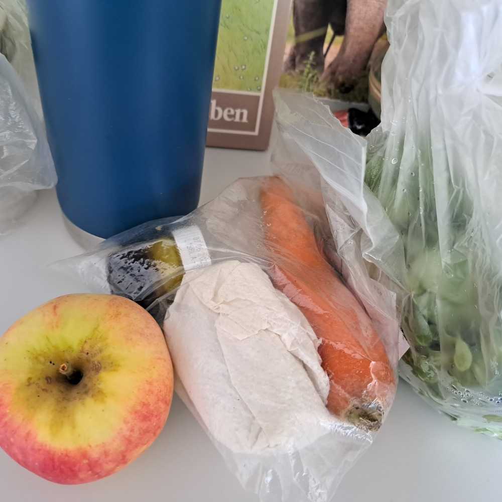Picknick mit Apfel, Salat, Karotte und Sandwich