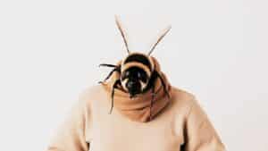 Biene, die aus kopflosem behalstuchten Pullover kriecht (generiert von KI Canva)