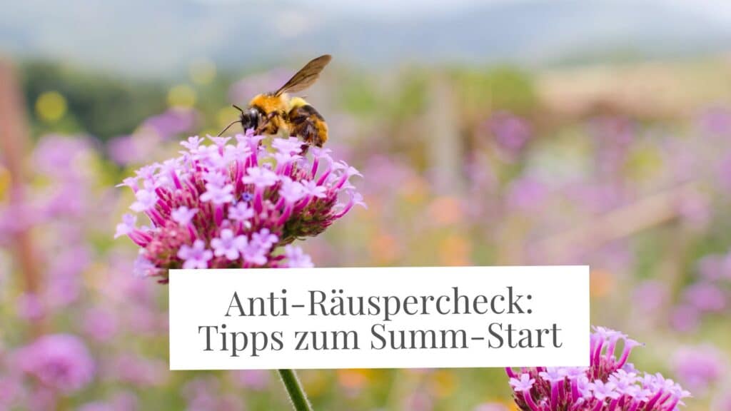 Blumenwiese mit lila Blume und Biene darauf: Text: Anti-Räuspercheck: Tipps zum Summ-Start