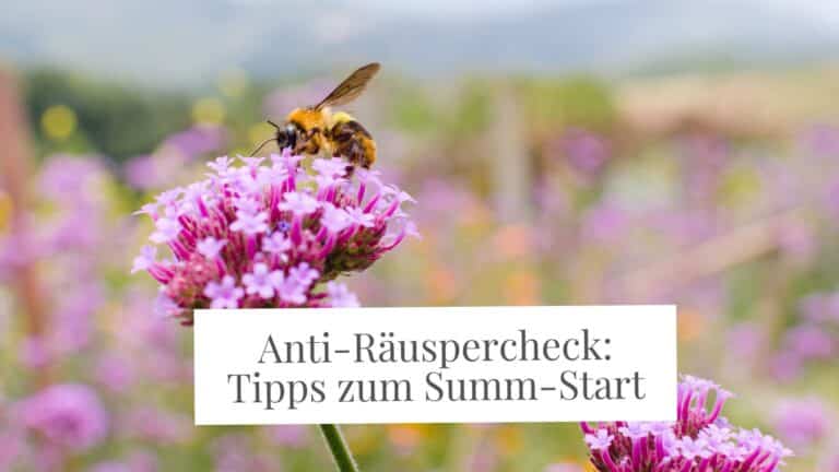 Blumenwiese mit lila Blume und Biene darauf: Text: Anti-Räuspercheck: Tipps zum Summ-Start