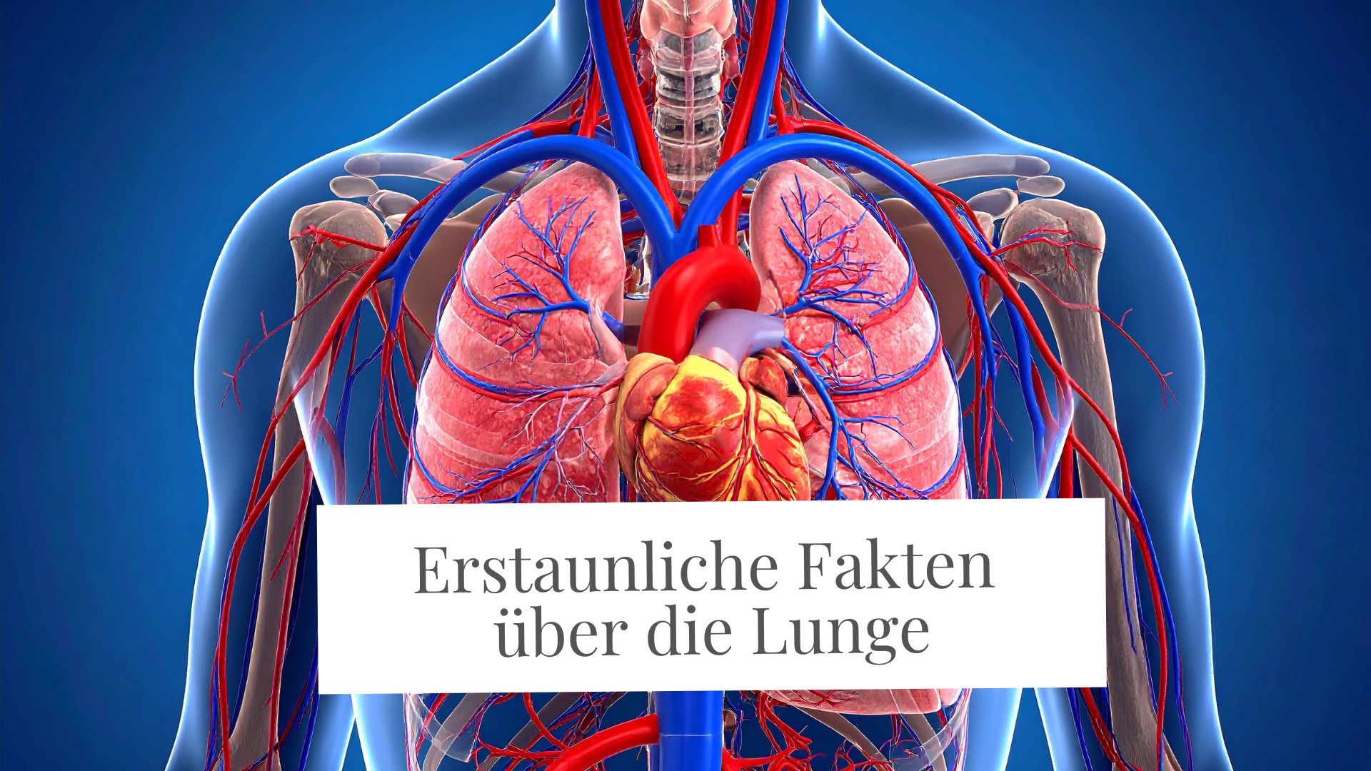27+ erstaunliche Fakten über deine Lunge