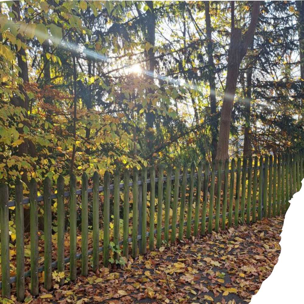 Atem. Pause. Sinn. Atemtherapie nach Middendorf • Prozessorientierte Supervision •