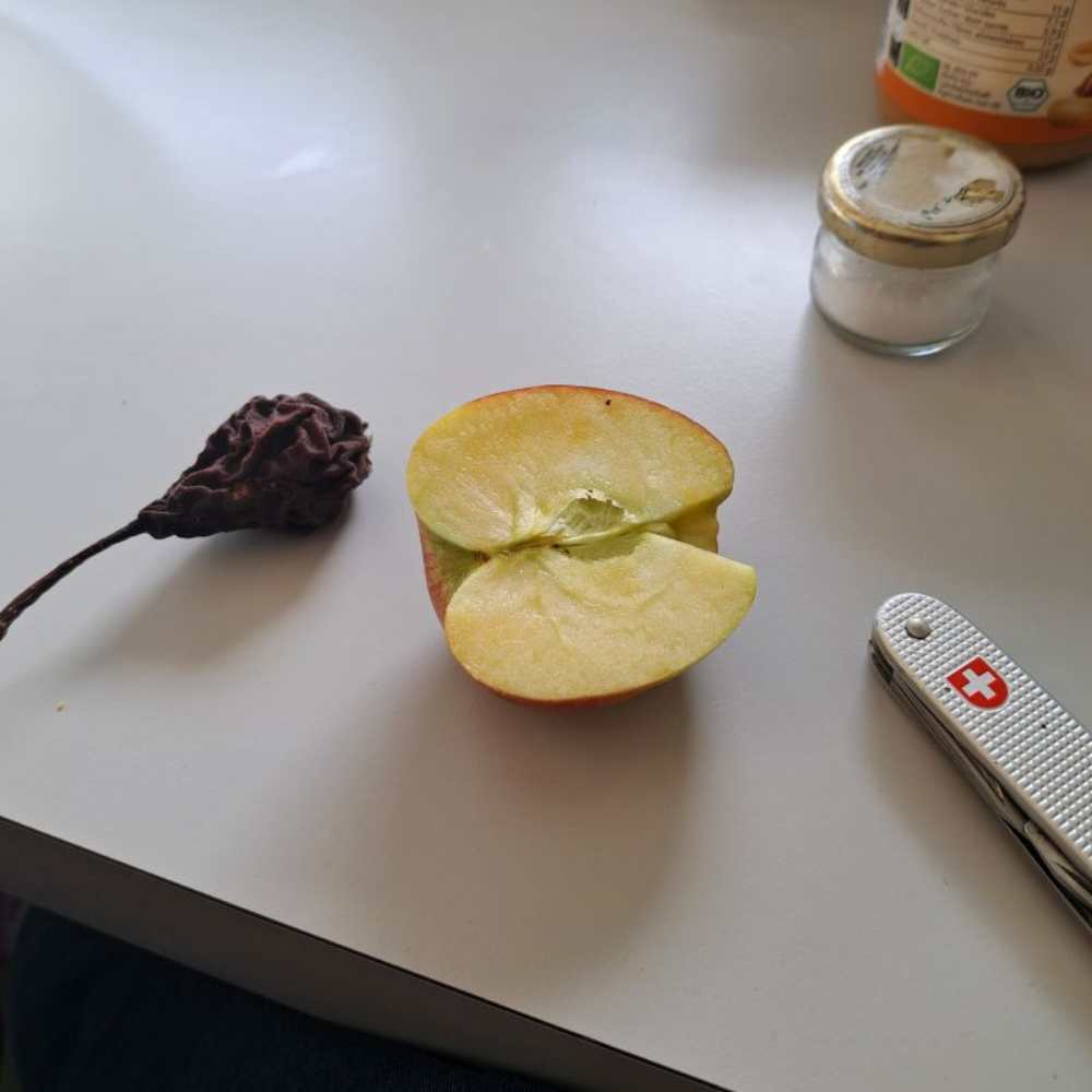 Atem. Pause. Sinn. Atemtherapie nach Middendorf • Prozessorientierte Supervision •