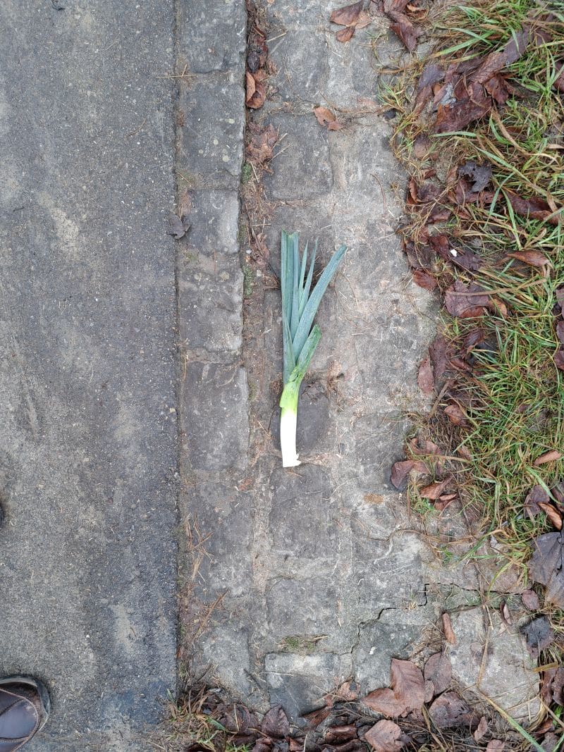 Atemtherapie | Mikropausen | Supervision &bull;