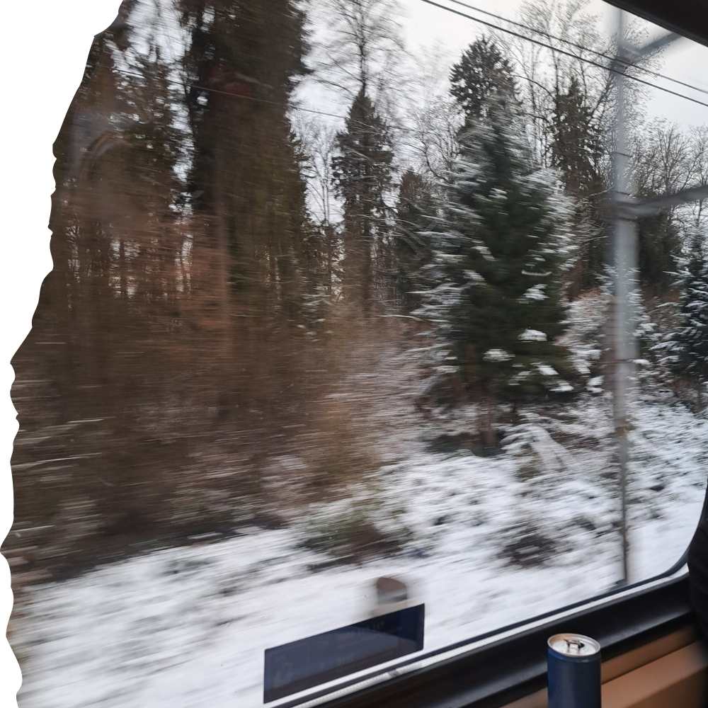 Atemtherapie | Mikropausen | Supervision •