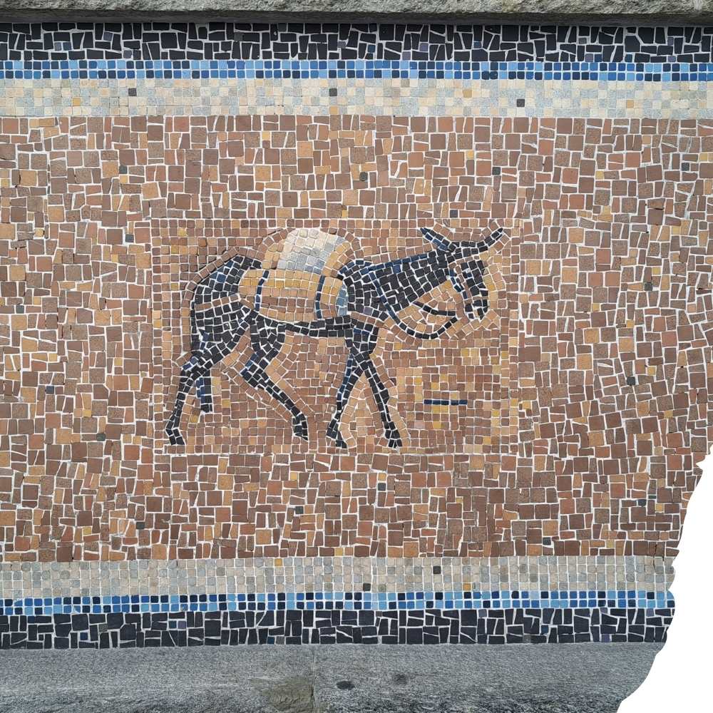 Atemtherapie | Mikropausen | Supervision •