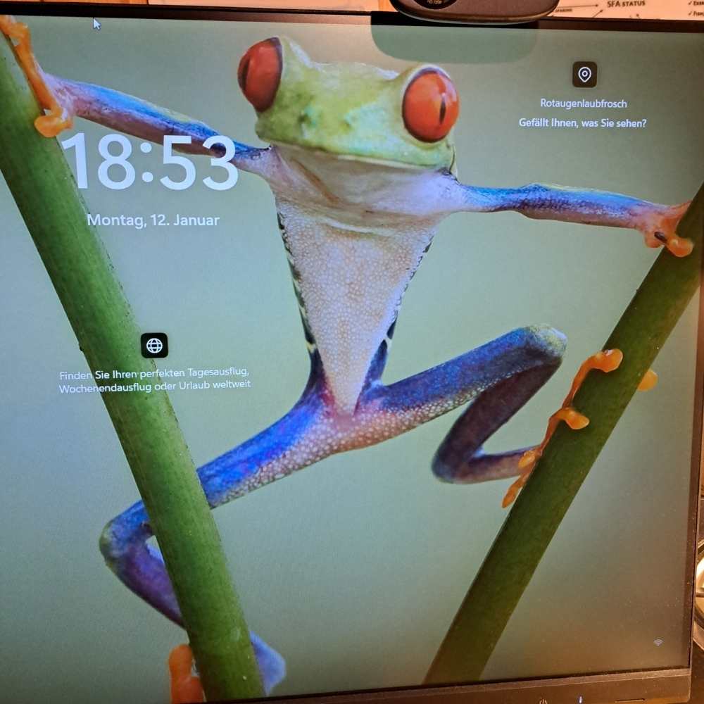 Atemtherapie | Mikropausen | Supervision •