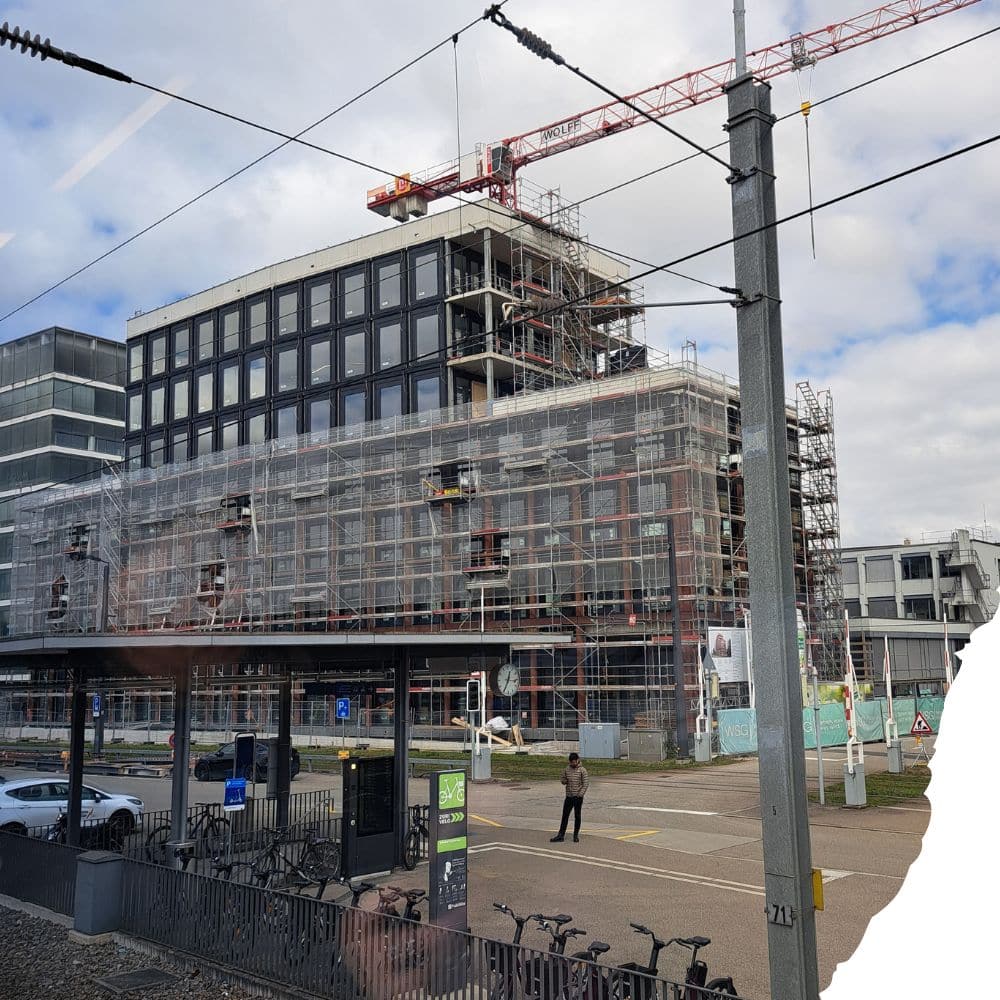 Atemtherapie | Mikropausen | Supervision &bull;