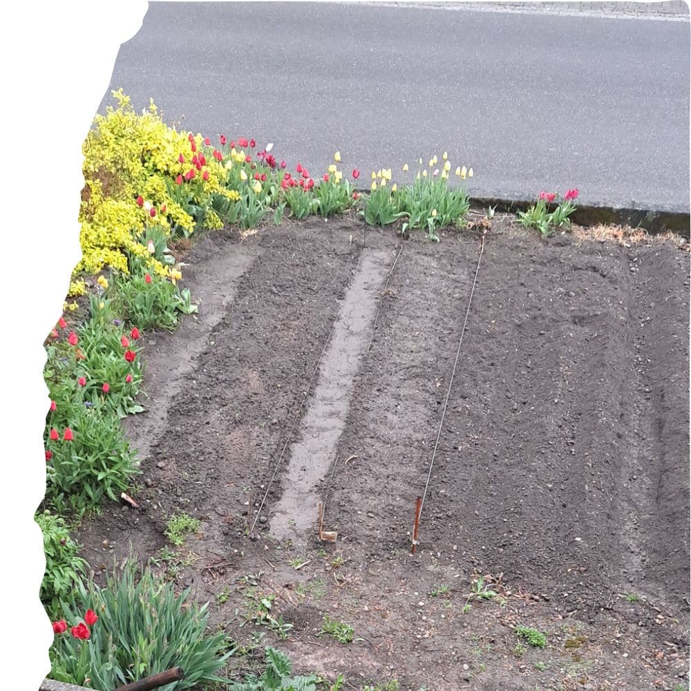 Atemtherapie | Mikropausen | Supervision &bull;