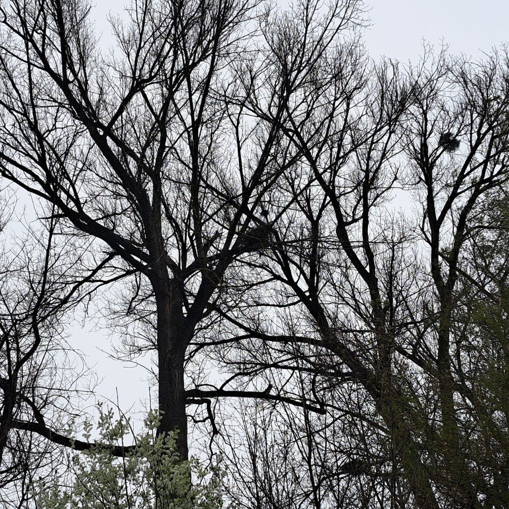 Atemtherapie | Mikropausen | Supervision &bull;