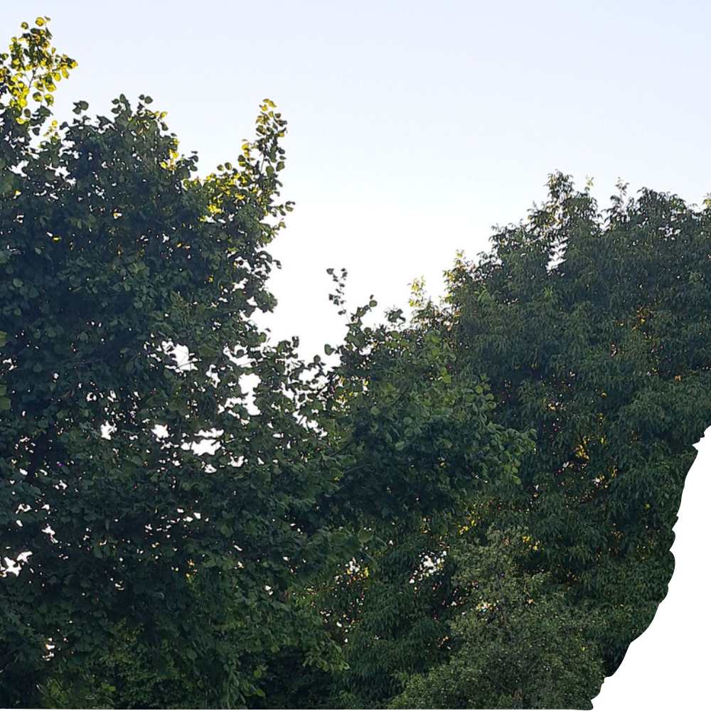Atemtherapie und prozessorientierte Beratung bei Stress, Erschöpfung und innerer Unruhe &bull;