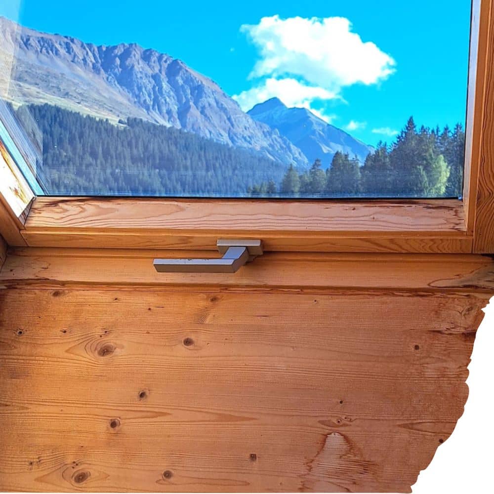 Ausblick durchs Dachfenster auf Lenzerhorn
